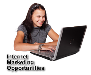 business internet marketing opportunity